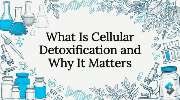 What Is Cellular Detoxification and Why It Matters