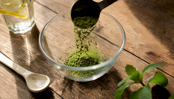 Phyto Greens: A Physician-Formulated Buyer's Guide