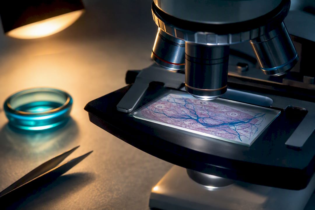 Acetyl L Carnitine: What Trials Say for Older Adults and Neuropathy