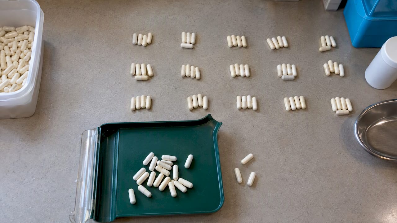 Fisetin Dosage: 20 mg/kg Trial Pulses Can Mean Many Capsules