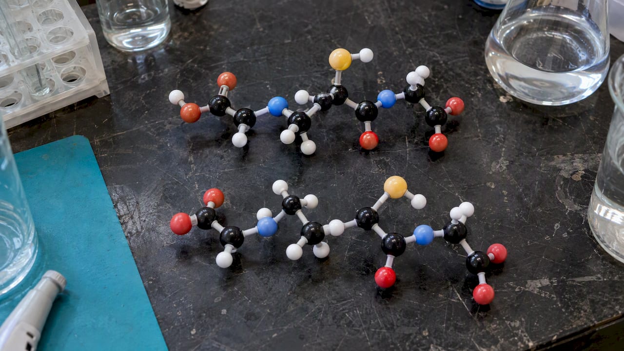 Redox Balance: What It Is and How to Support It