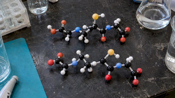 Redox Balance: What It Is and How to Support It