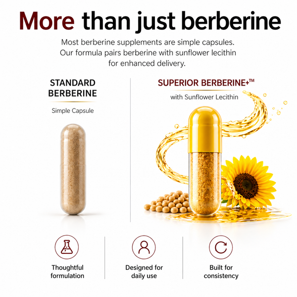 Comparison of standard berberine capsules and superior berberine+ with sunflower lecithin on a white background.