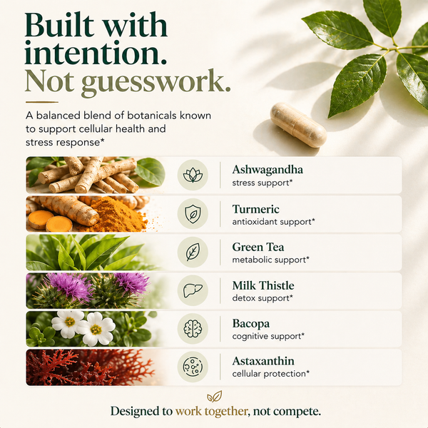 Product label with botanical ingredients and their benefits on a white background